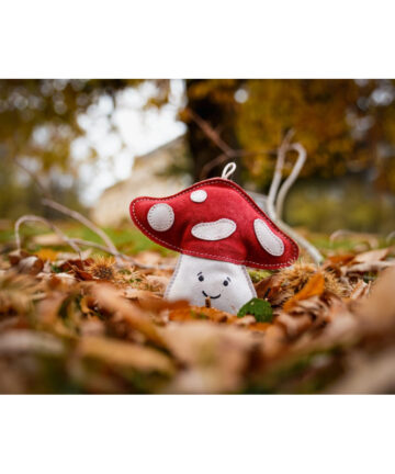 Aurora Paws Marie the mushroom