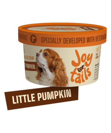 Joy For Tails Little pumpkin