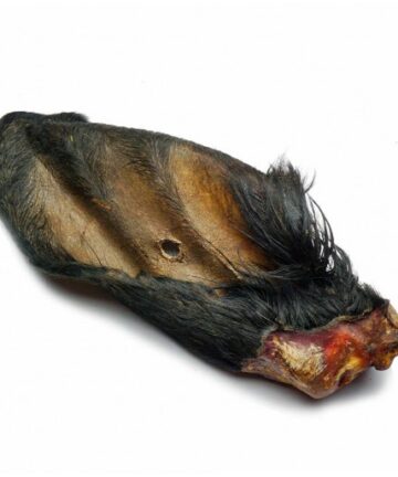 Žāvējumi Liellopa ausis ar spalvu