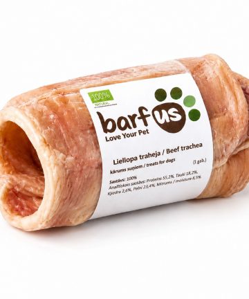 Barfus Liellopa traheja