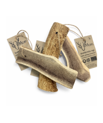 More Dabīgi briežu ragi L