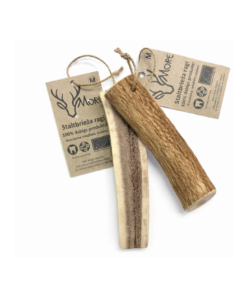 More Dabīgi briežu ragi M