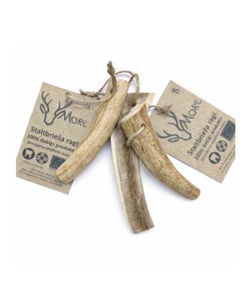 More Dabīgi briežu ragi S