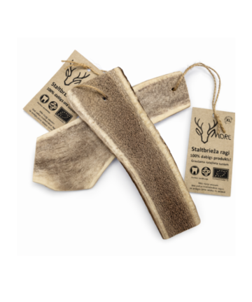 More Dabīgi briežu ragi XL