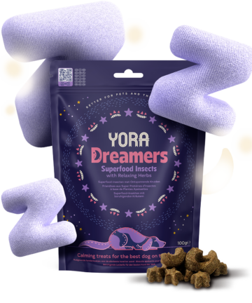 Yora Dreamers