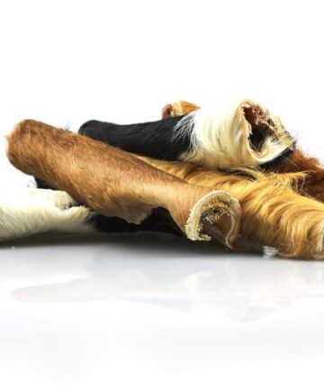 Žāvējumi Beef scalp with fur L