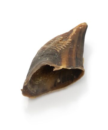 Žāvējumi Liellopa nags