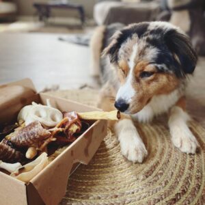Dried delicacies