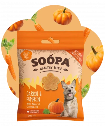 Soopa healthy bits carrot & pumpkin