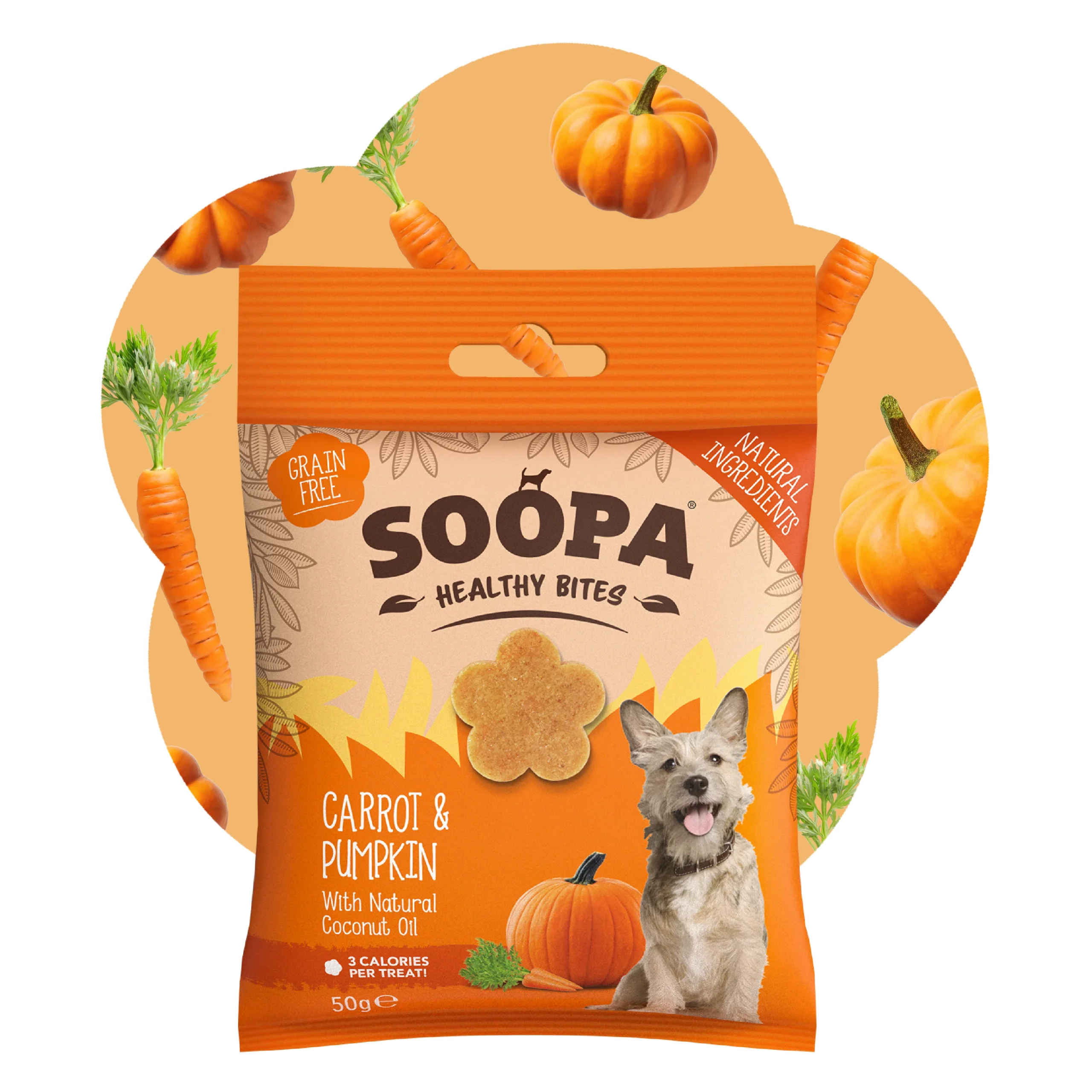 Soopa healthy bits carrot & pumpkin