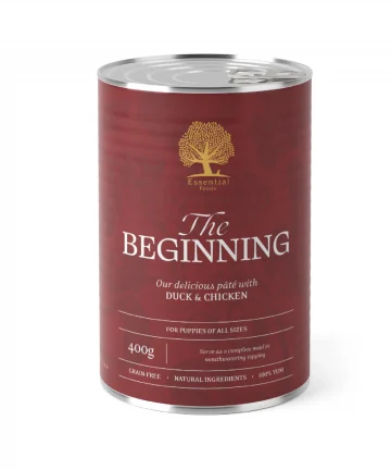 Essential The beginning