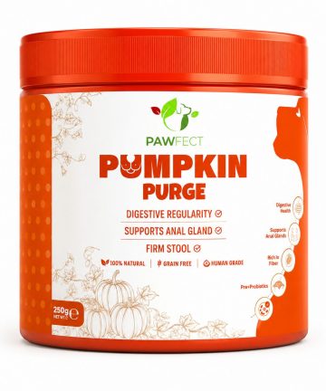 PAWFECT Pumpkin Purge