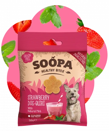 Soopa healthy bites strawberry Dog-Quiri