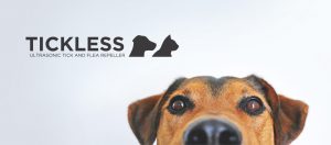 Tickless