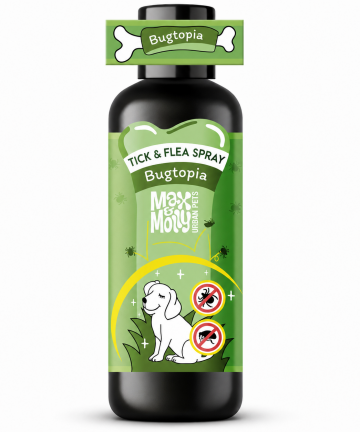Max&Molly Bugtopia